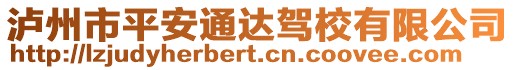 瀘州市平安通達駕校有限公司