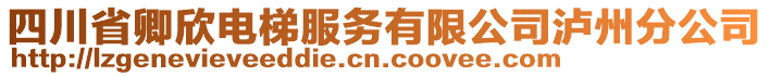 四川省卿欣電梯服務(wù)有限公司瀘州分公司