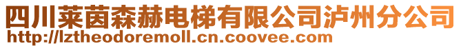 四川萊茵森赫電梯有限公司瀘州分公司