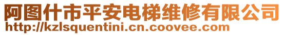 阿圖什市平安電梯維修有限公司