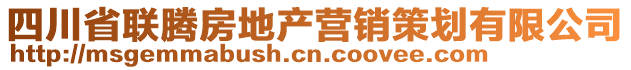 四川省聯(lián)騰房地產(chǎn)營(yíng)銷策劃有限公司