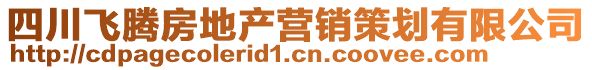 四川飛騰房地產(chǎn)營銷策劃有限公司