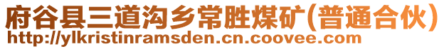 府谷縣三道溝鄉(xiāng)常勝煤礦(普通合伙)