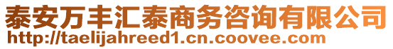 泰安萬豐匯泰商務(wù)咨詢有限公司