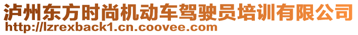 瀘州東方時(shí)尚機(jī)動(dòng)車駕駛員培訓(xùn)有限公司