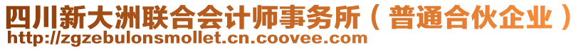 四川新大洲聯(lián)合會計師事務(wù)所（普通合伙企業(yè)）