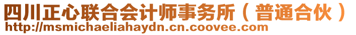 四川正心聯(lián)合會計師事務(wù)所（普通合伙）