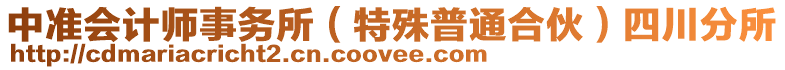 中準會計師事務所（特殊普通合伙）四川分所