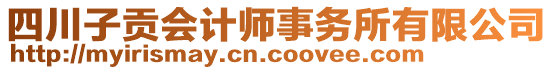 四川子貢會計(jì)師事務(wù)所有限公司