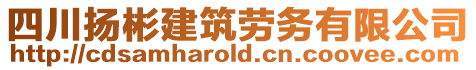 四川扬彬建筑劳务有限公司