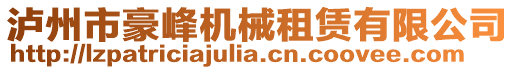 瀘州市豪峰機械租賃有限公司