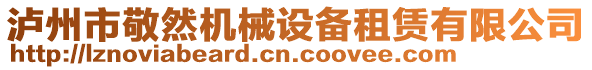 瀘州市敬然機械設(shè)備租賃有限公司