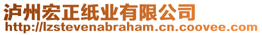 瀘州宏正紙業(yè)有限公司