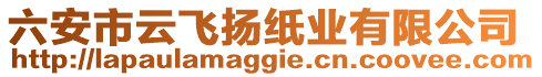 六安市云飛揚紙業(yè)有限公司