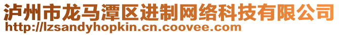 瀘州市龍馬潭區(qū)進(jìn)制網(wǎng)絡(luò)科技有限公司