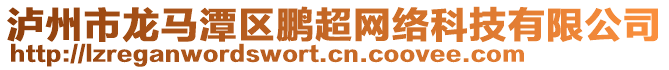 瀘州市龍馬潭區(qū)鵬超網(wǎng)絡(luò)科技有限公司