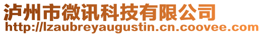 瀘州市微訊科技有限公司