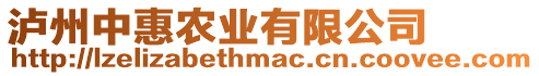 瀘州中惠農(nóng)業(yè)有限公司