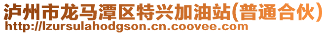 瀘州市龍馬潭區(qū)特興加油站(普通合伙)