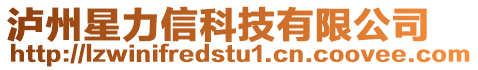 瀘州星力信科技有限公司