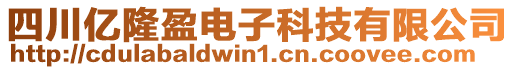 四川億隆盈電子科技有限公司