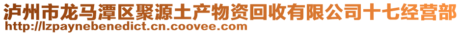 瀘州市龍馬潭區(qū)聚源土產物資回收有限公司十七經營部