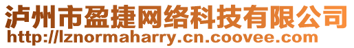 瀘州市盈捷網絡科技有限公司