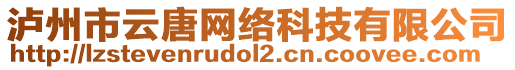 瀘州市云唐網絡科技有限公司