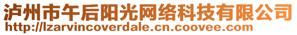 瀘州市午后陽光網(wǎng)絡科技有限公司