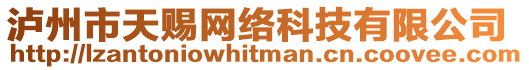 瀘州市天賜網絡科技有限公司