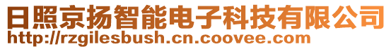 日照京扬智能电子科技有限公司