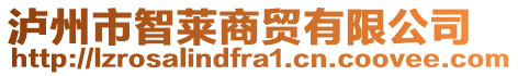 瀘州市智萊商貿有限公司