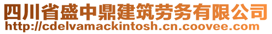 四川省盛中鼎建筑勞務有限公司