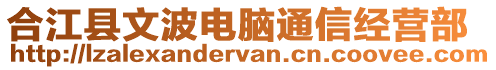 合江縣文波電腦通信經(jīng)營部