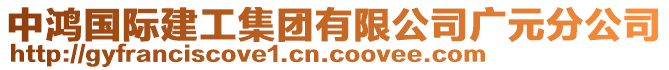 中鴻國(guó)際建工集團(tuán)有限公司廣元分公司