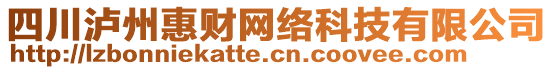 四川瀘州惠財(cái)網(wǎng)絡(luò)科技有限公司