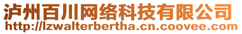 瀘州百川網(wǎng)絡(luò)科技有限公司