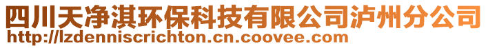 四川天净淇环保科技有限公司泸州分公司