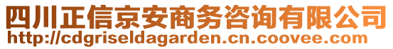 四川正信京安商務(wù)咨詢有限公司