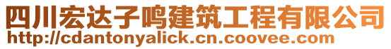 四川宏達(dá)子鳴建筑工程有限公司