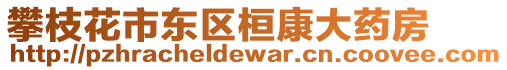 攀枝花市東區(qū)桓康大藥房