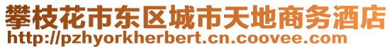 攀枝花市東區(qū)城市天地商務(wù)酒店