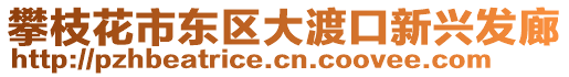 攀枝花市東區(qū)大渡口新興發(fā)廊