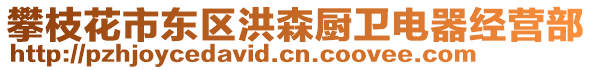 攀枝花市東區(qū)洪森廚衛(wèi)電器經(jīng)營部