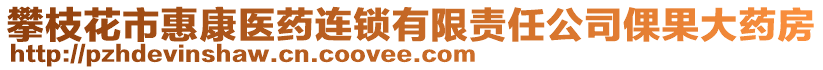 攀枝花市惠康醫(yī)藥連鎖有限責(zé)任公司倮果大藥房