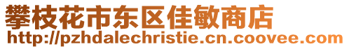 攀枝花市東區(qū)佳敏商店