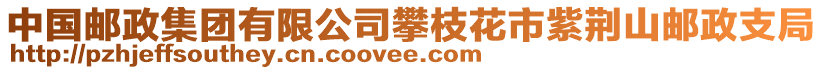 中國郵政集團(tuán)有限公司攀枝花市紫荊山郵政支局