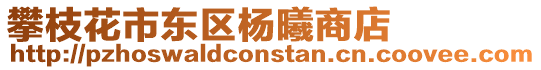 攀枝花市東區(qū)楊曦商店