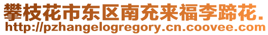 攀枝花市東區(qū)南充來(lái)福李蹄花.