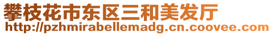 攀枝花市東區三和美發廳